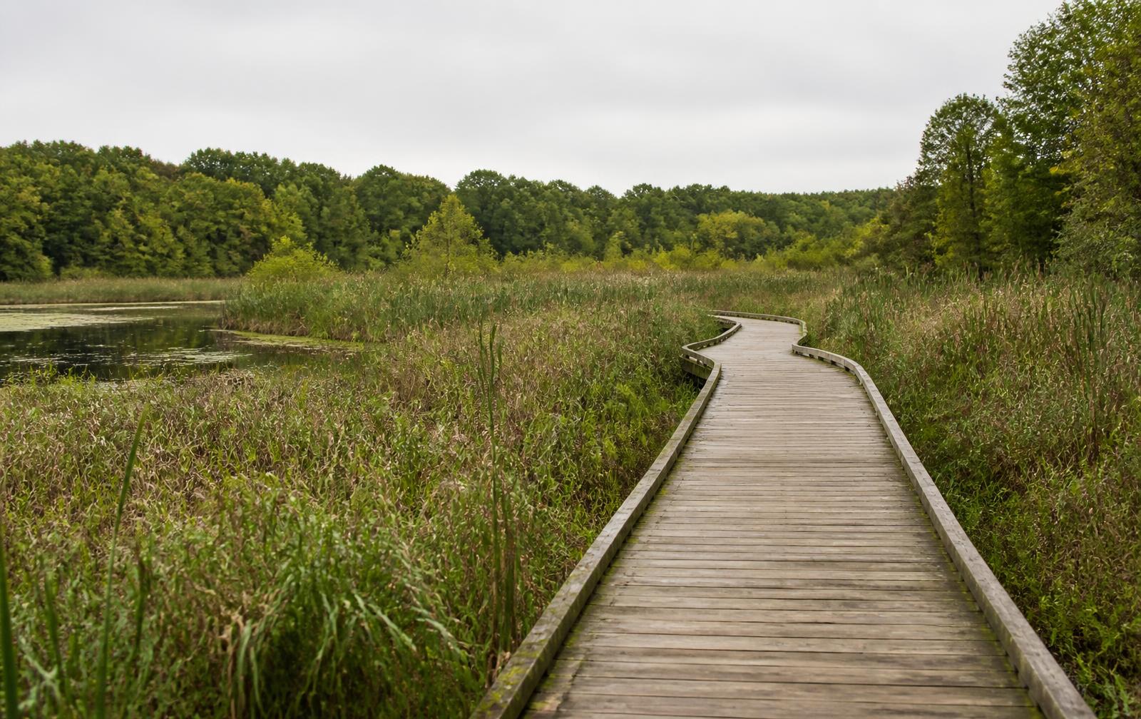 A wooden boardwalk crossing a quiet wetland at a nature preserve on an overcast day.